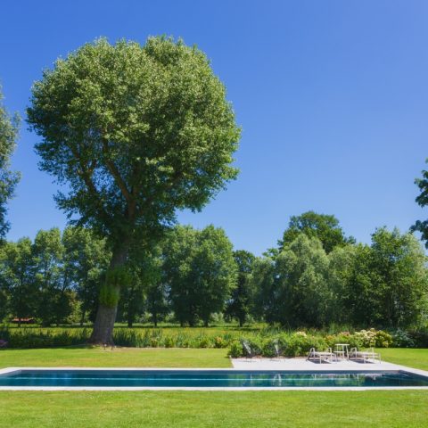 Inox swimming pool Damme