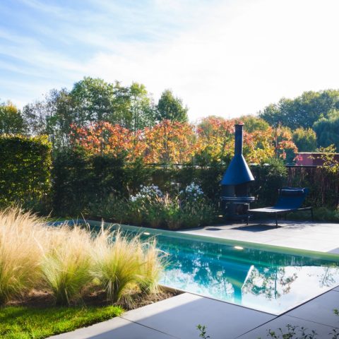 Stainless steel swimming pool Rumst