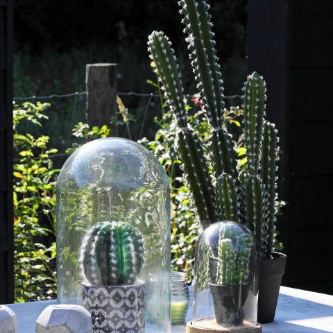 Modern garden in greenery