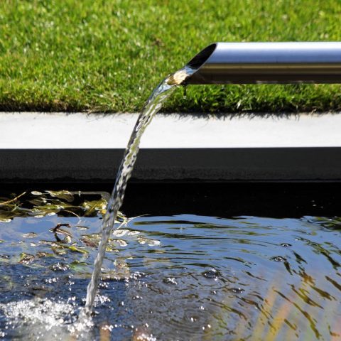 Modern landscaping in luxury garden