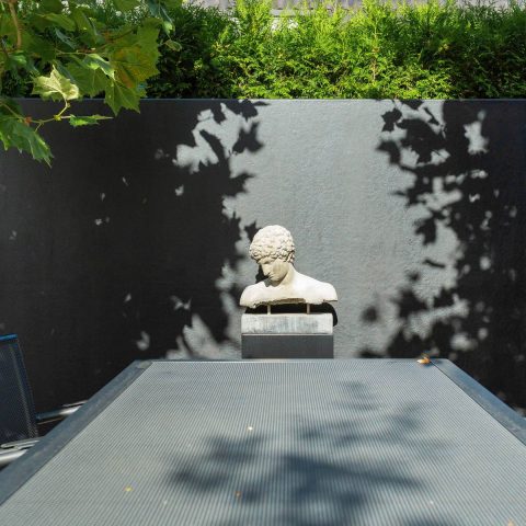 Modern small garden with pool