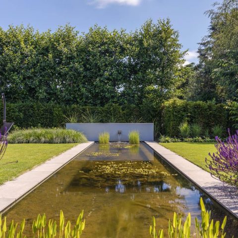 Biodiversity in sleek garden