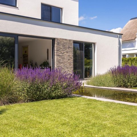 Biodiversity in sleek garden