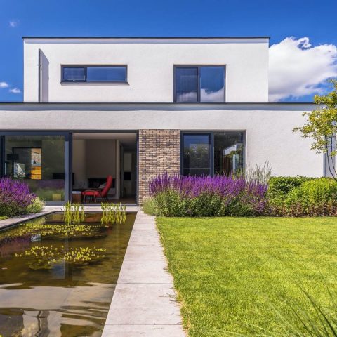 Biodiversity in sleek garden