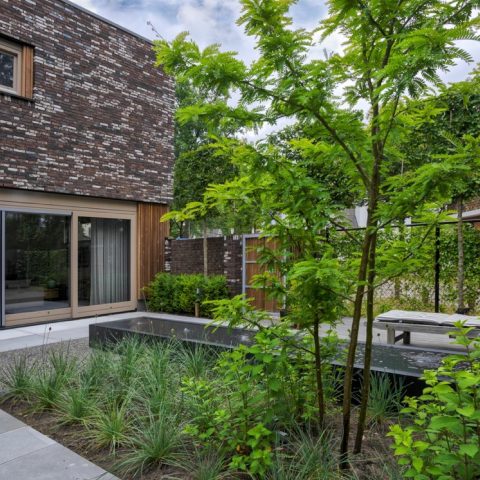 Small modern garden with water feature