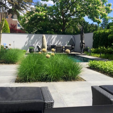 Modern low-maintenance garden with pool