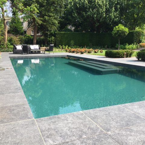 Project Laren