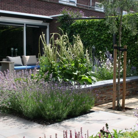 Atmospheric garden