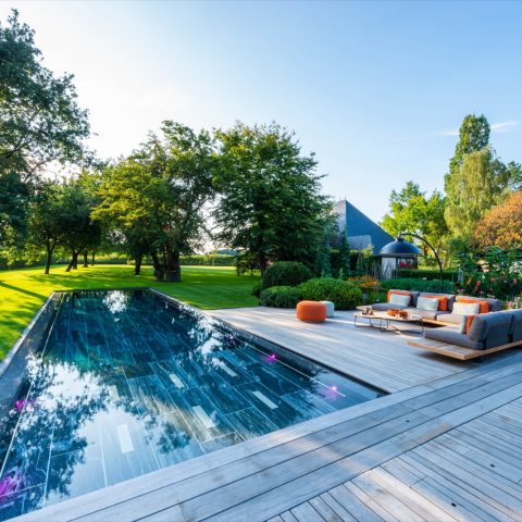 Attractive garden with swimming pool