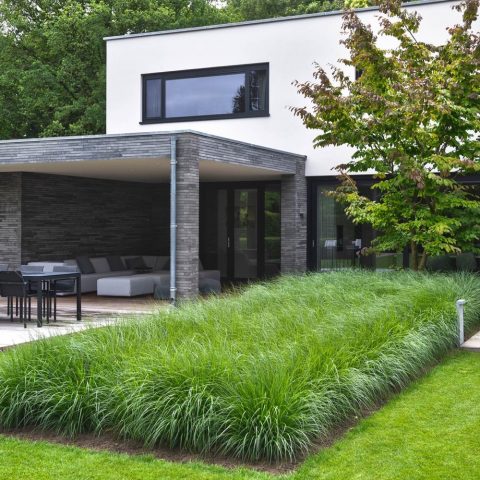 Sleek garden with green ambiance
