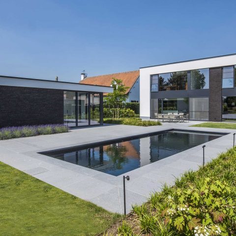 Modern garden with pool and pool house