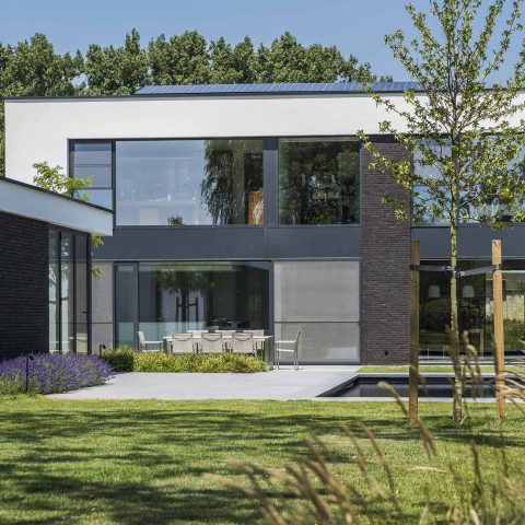 Modern garden with pool and pool house