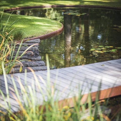 Natural garden with pond