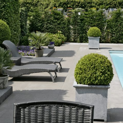 Luxury Pool Essential
