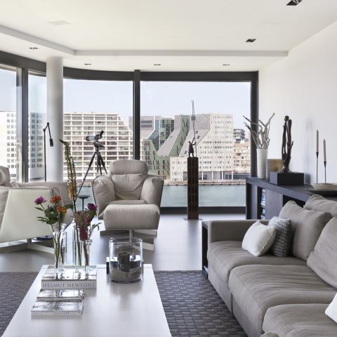 Furnishing penthouse with sleek interior