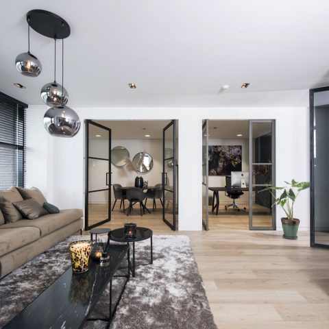 Interior with pivot doors