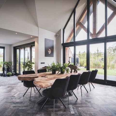 Landelijk moderne woning rietgedekt, Maassluis
