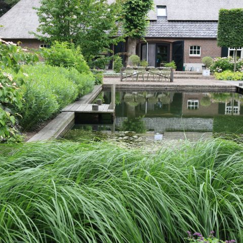 Farm garden with pond