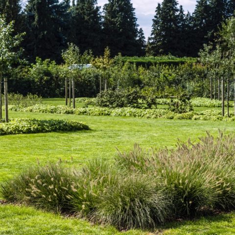 Landschappelijke boerderijtuin met terrassen en waterfunctie