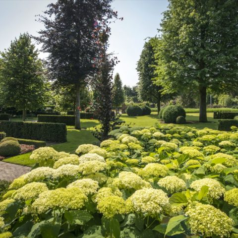 Nieuw elan voor villatuin