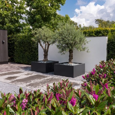 Klassieke moderne tuin te Rotterdam