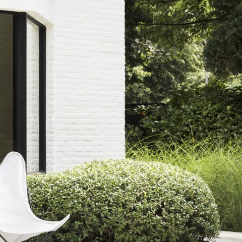 Elegante tuin bij rietgedekte villa
