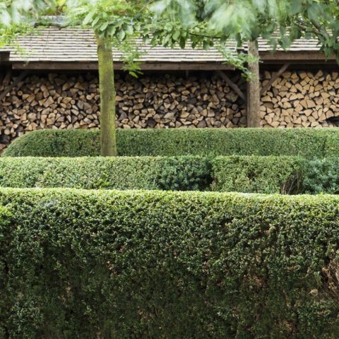 Exclusieve tuin bij stijlvolle herenwoning