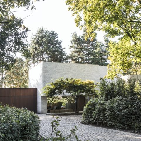 Moderne tuin bij architecturale villa