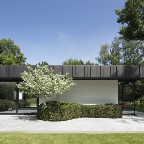 Moderne tuin bij villa in Brasschaat