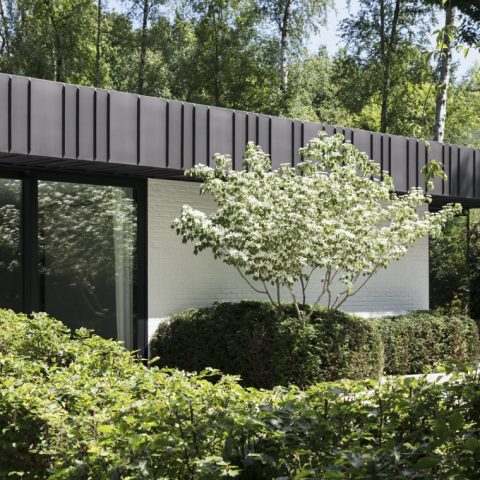 Moderne tuin bij villa in Brasschaat