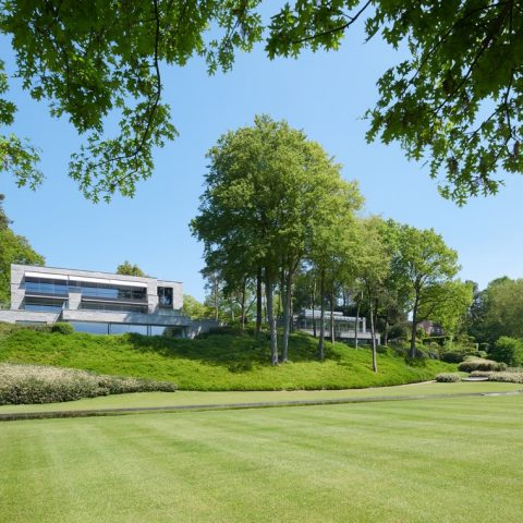 Moderne woondroom in het groen