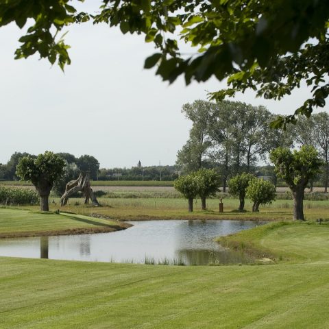 Natuurlijke tuin