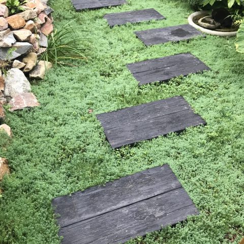 Sfeervolle jungletuin met Millboard terras