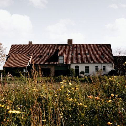 Renovated farmstead Wiekevorst