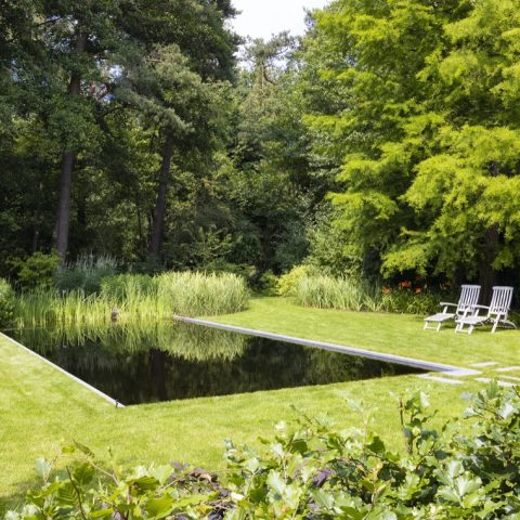 Inviting swimming pond