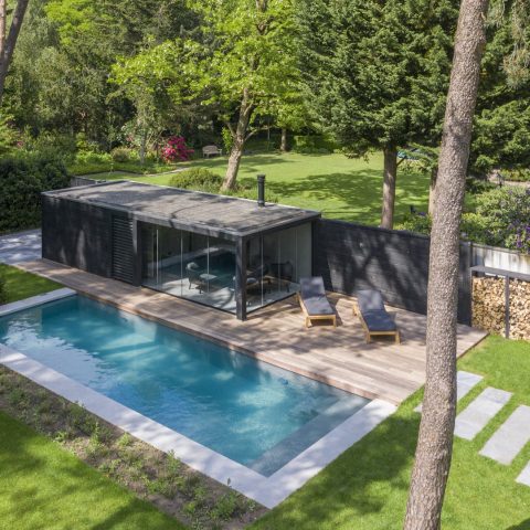 Oasis in the forest