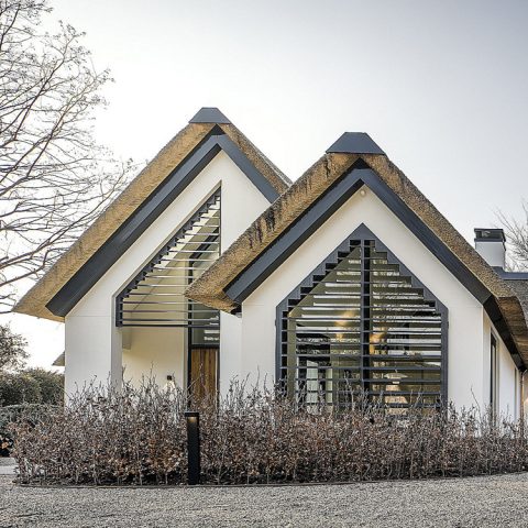 Project Laren