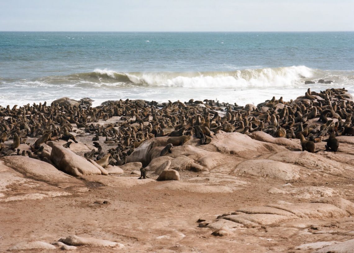 Shipwreck Lodge in Namibia