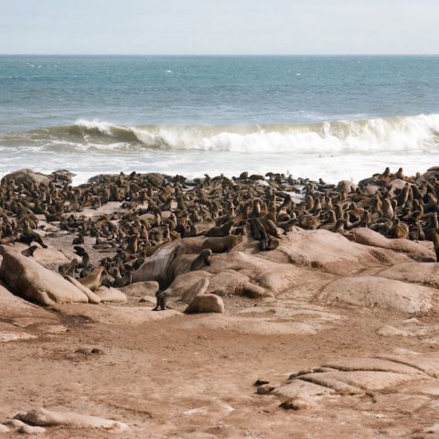 Shipwreck Lodge in Namibië