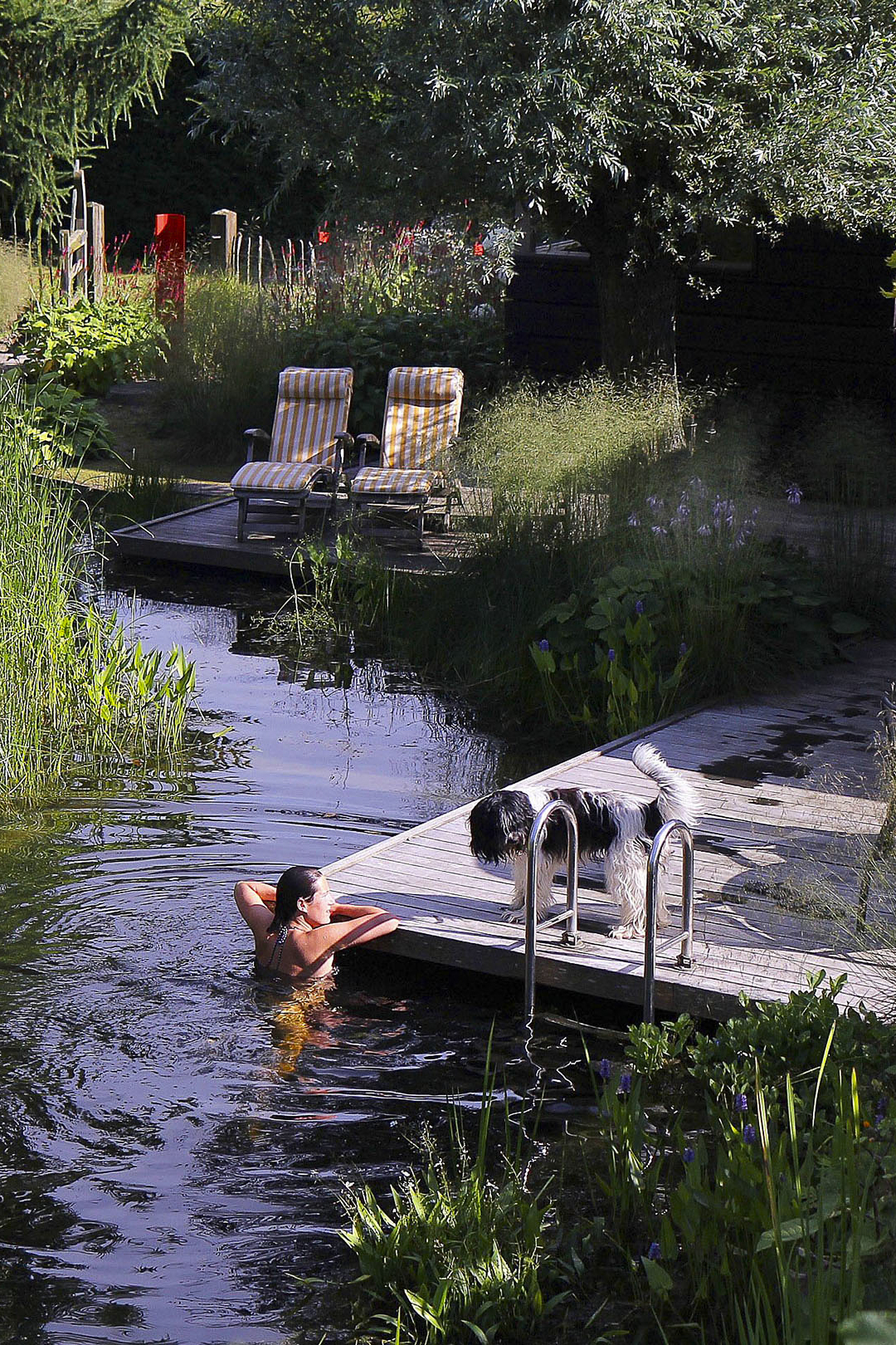 Prachtige open groene tuin, luxe visvijver, moderne houten vlonder met chromen trappetje,, Luxury, Design, Exclusive, Modern, Custom Made, Special, Beautiful