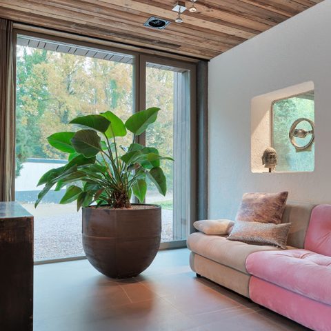 Dune villa