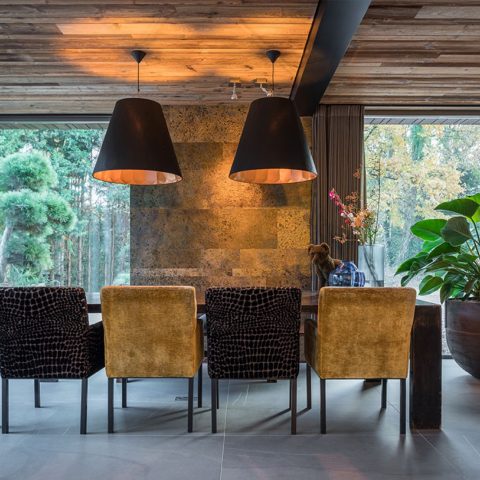Dune villa