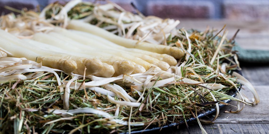 White asparagus smoked on hay