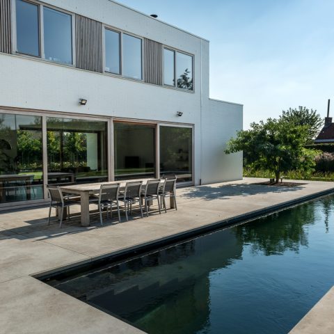 Modern garden with swimming pond