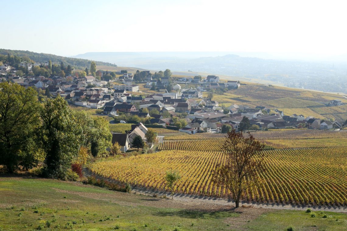 Enjoying the champagne region