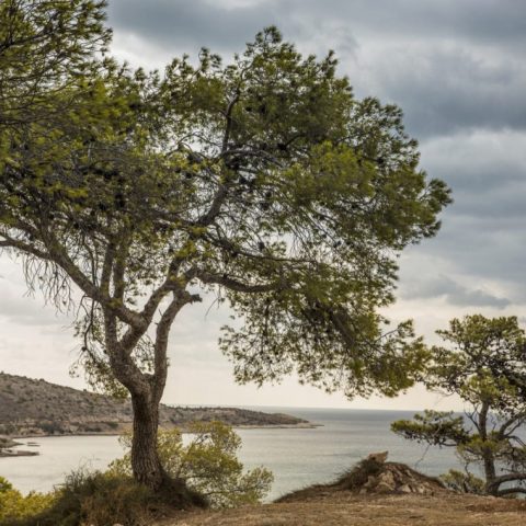 Four Seasons Astir Palace – Athene, Griekenland