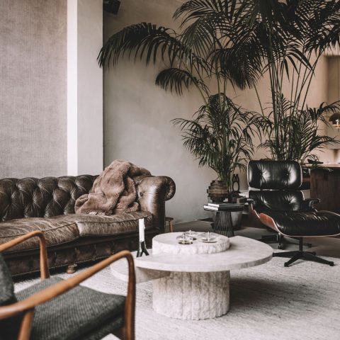 Modern interior with dark tones