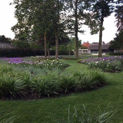 Landelijke tuin met strakke vijver