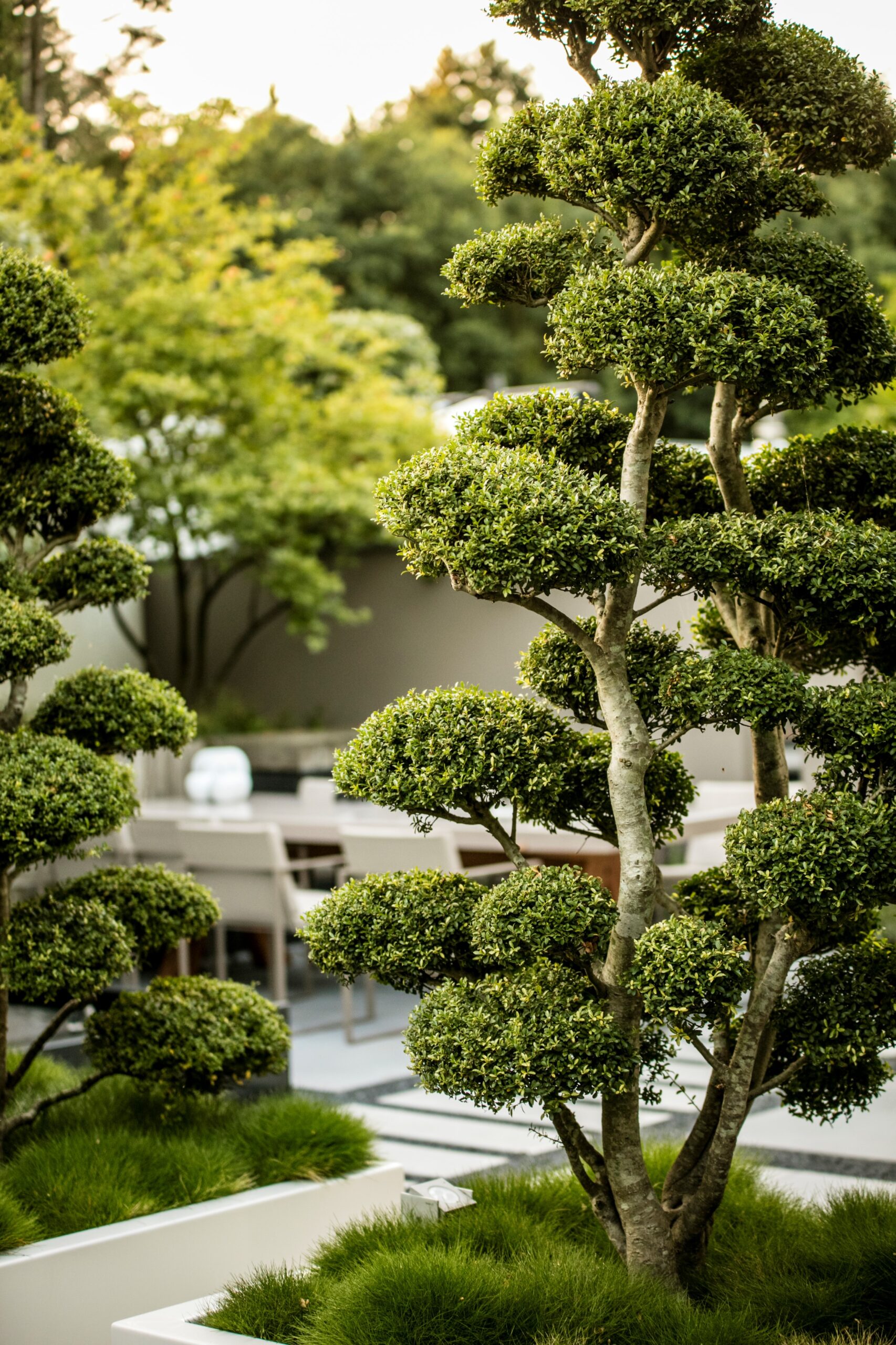 Luxe meubelen in royale tuin, Luxury, Design, Exclusive, Modern, Custom Made, Special, Beautiful