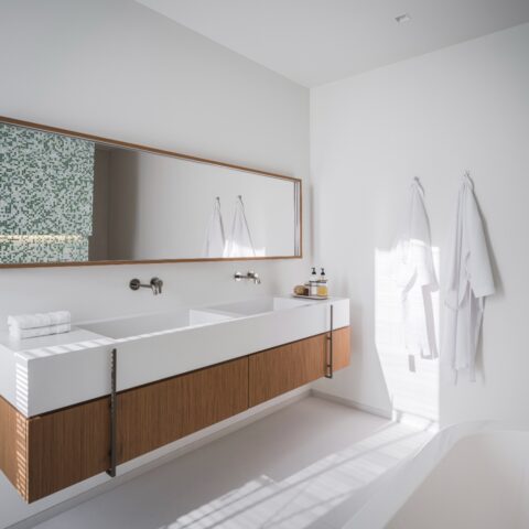 Penthouse Randstad